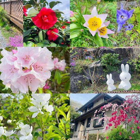 貸別荘花摘里　伊豆高原 Futo 외부 사진